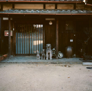 Dog statues outside a home on Naoshima